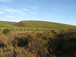 Santa Maria, California