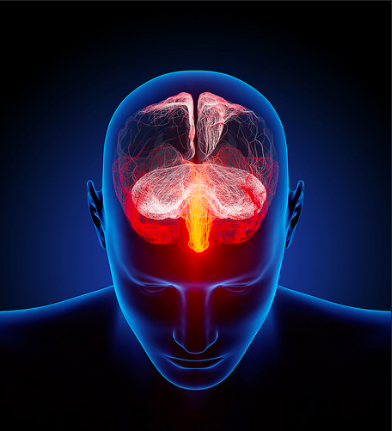 Human brain illustrated with millions of small nerves by Ars Electronica