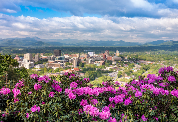 Downtown Asheville skyline flowers in spring